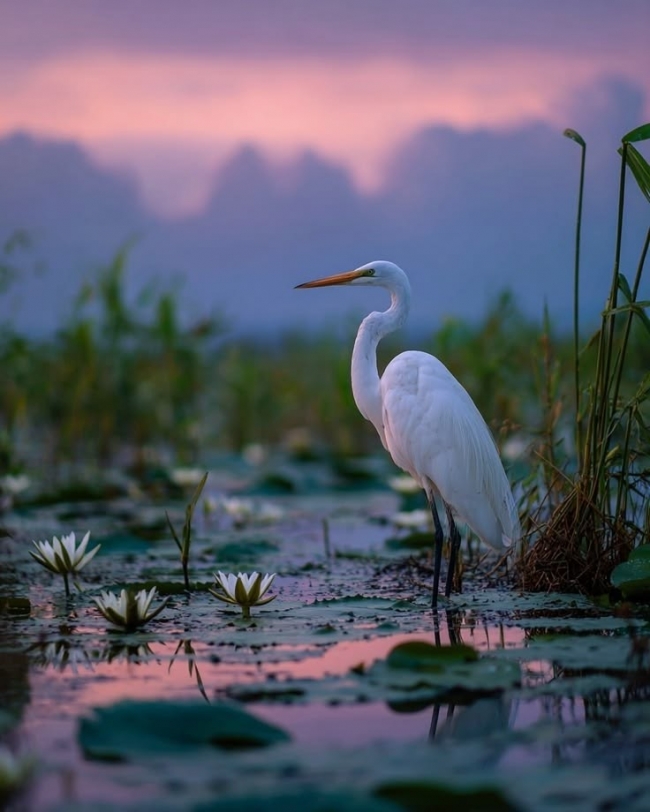 Maravillas del Litoral 