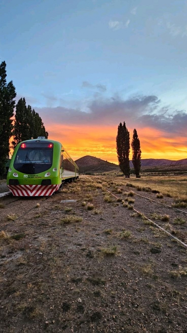 Tren Patagonico 