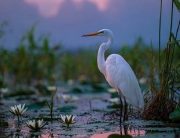 Maravillas del Litoral 